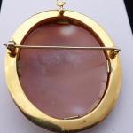 Gold brooch and hinge, with a large cameo