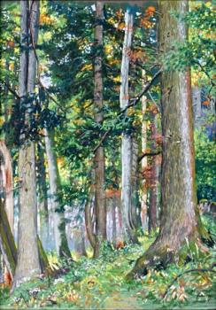 Forest Landscape - 1932