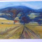 Boris Nosek - Field, Volary Boris Nosek - Field, Volary