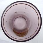 Glass with gold medallion and duck Glass with gold medallion and duck