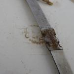 Plate with embossed rim - Teinitz 1830 - 1866 Plate with embossed rim - Teinitz 1830 - 1866