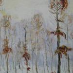 Grove in wintertime Grove in wintertime