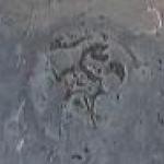 Tin bowl, with rococo handles Tin bowl, with rococo handles