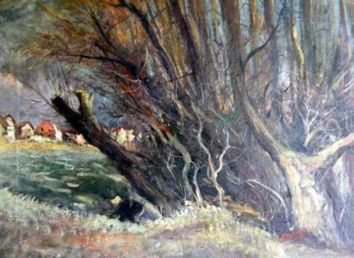 V. Pleiner V. Pleiner