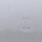 Biedermeier bowl, green flowers - Prague Biedermeier bowl, green flowers - Prague