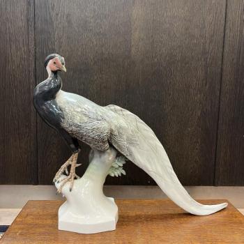 Porcelain Pheasant Figurine - Rosenthal - 1930 Porcelain Pheasant Figurine - Rosenthal - 1930