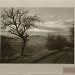 Jan Reich (1942 - 2009), Road to Počepice, 1983 Jan Reich (1942 - 2009), Road to Počepice, 1983