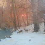 Forest Landscape - 1900 Forest Landscape - 1900