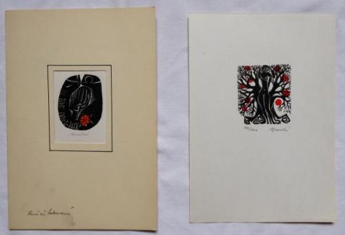 Anna Grmelova - Nude by the tree, Girl’s head  Anna Grmelova - Nude by the tree, Girl’s head