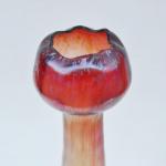 Vase - iridescent glass - Josef Rindskopf a synové, Josef Rindskopf & Söhne AG - 1910 Vase - iridescent glass - Josef Rindskopf a synové, Josef Rindskopf & Söhne AG - 1910