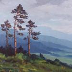 Saskova - Three pines on the hillside Saskova - Three pines on the hillside