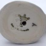 Small duck - Dubi near Teplice  Small duck - Dubi near Teplice