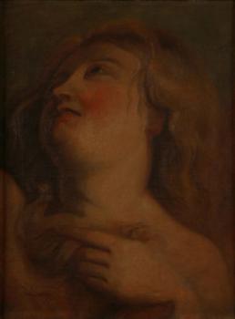 Javůrek, Karel (1815-1909) Javůrek, Karel (1815-1909)