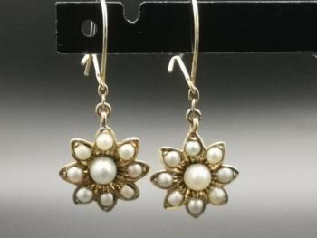 Gold Earrings - 1880 Gold Earrings - 1880