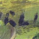 Lada Ehrlich - Landscape with a pair of rowan tree Lada Ehrlich - Landscape with a pair of rowan tree