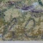 On the dam of the pond On the dam of the pond