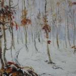 Grove in wintertime Grove in wintertime