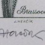 Josef Hercik - Orchid Josef Hercik - Orchid