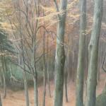 Autumn Landscape - 1935 Autumn Landscape - 1935