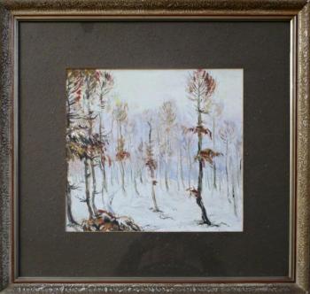 Grove in wintertime Grove in wintertime