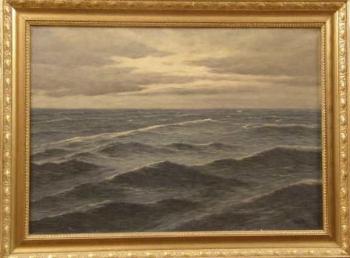 Špitník - Sea Špitník - Sea