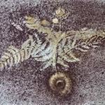 Jan Halla - Leafs Jan Halla - Leafs