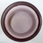 Glass with gold medallion and duck Glass with gold medallion and duck