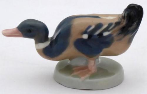 Small duck - Dubi near Teplice  Small duck - Dubi near Teplice