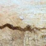 Vladimir Kliment - A snowy road to the village Vladimir Kliment - A snowy road to the village