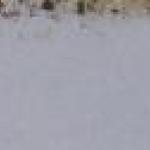 Pavel Roucka - The Girl and The Flute Player in th Pavel Roucka - The Girl and The Flute Player in th