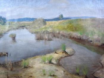 Antonin Balcar - Swamp Antonin Balcar - Swamp