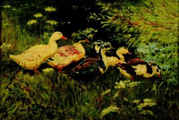 Ducks on a meadow Ducks on a meadow