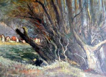 V. Pleiner V. Pleiner