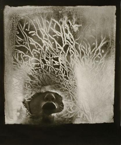 Jan Lukas: January, 1957 Jan Lukas: January, 1957