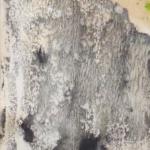 Zdenka Marie Novakova - Structures Zdenka Marie Novakova - Structures