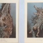 Bohumil Kratky - Phaethon Bohumil Kratky - Phaethon