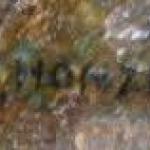 Honzik Jaroslav - Military camp during the Thirty  Honzik Jaroslav - Military camp during the Thirty