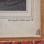 Painting - 1870 Painting - 1870