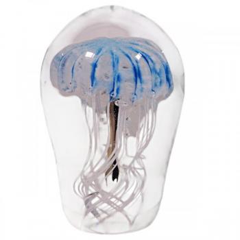 Glass Paperweight - 2023 Glass Paperweight - 2023