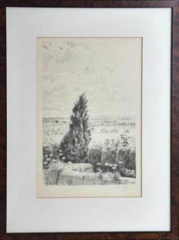 Graphics - paper - Max Švabinský  - 1951 Graphics - paper - Max Švabinský  - 1951