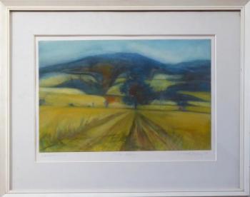 Boris Nosek - Field, Volary Boris Nosek - Field, Volary