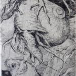 Petr Hampl - Surrealist motif, conch and fish  Petr Hampl - Surrealist motif, conch and fish