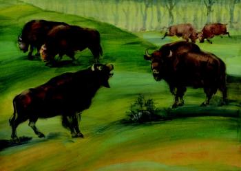 European bisons European bisons