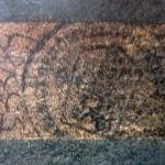 Baroque still life with fruit and citrus Baroque still life with fruit and citrus