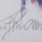 Chramosta Cyril - Carp, Colored Flowers Chramosta Cyril - Carp, Colored Flowers