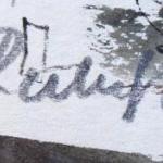 Rubes - On the Charles Bridge overlooking Hradcany Rubes - On the Charles Bridge overlooking Hradcany