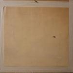 Grove in wintertime Grove in wintertime