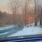 Forest Landscape - 1900 Forest Landscape - 1900