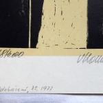 Vladimir Komarek - Leaving  Vladimir Komarek - Leaving