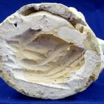 Bretislav Benda - Standing naked boy with a lanter Bretislav Benda - Standing naked boy with a lanter